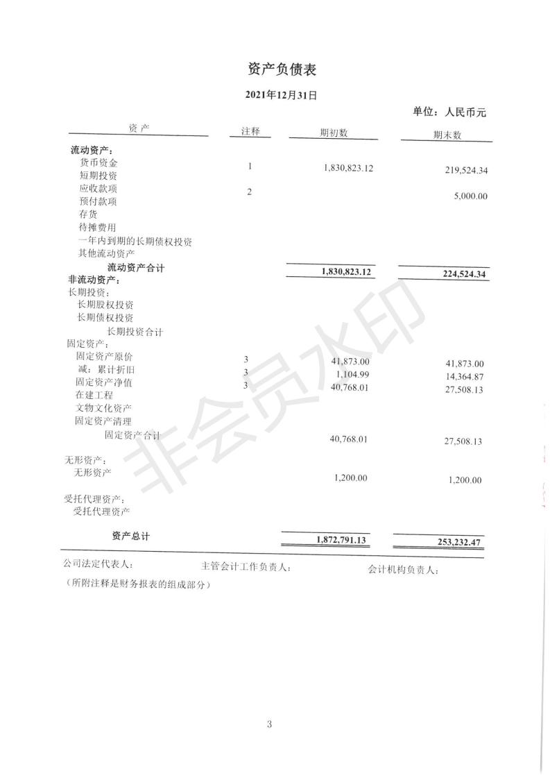 深圳市中润大平慈善基金会2021年度审计报告(图5)