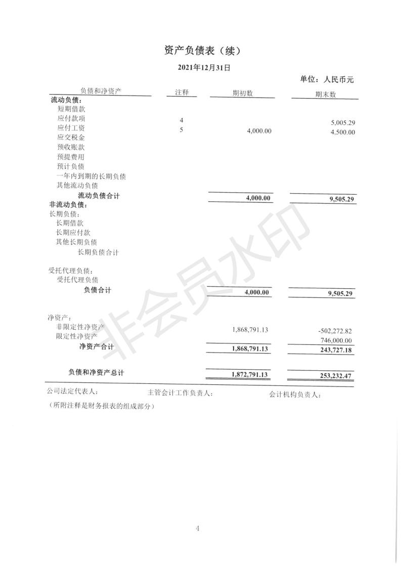 深圳市中润大平慈善基金会2021年度审计报告(图6)