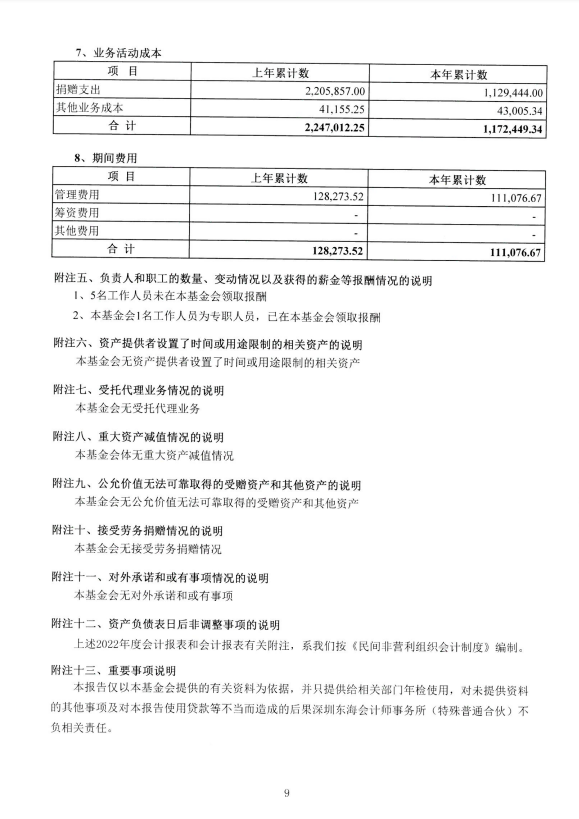 深圳市中润大平慈善基金会2022年度审计报告(图10)