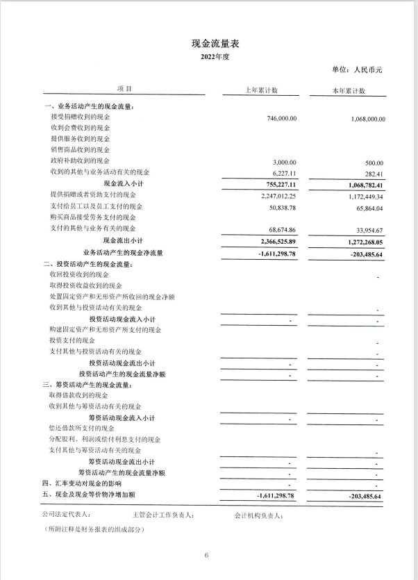 深圳市中润大平慈善基金会2022年度审计报告(图7)