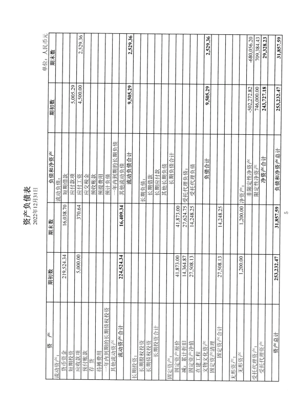 深圳市中润大平慈善基金会2022年专项审计(图6)