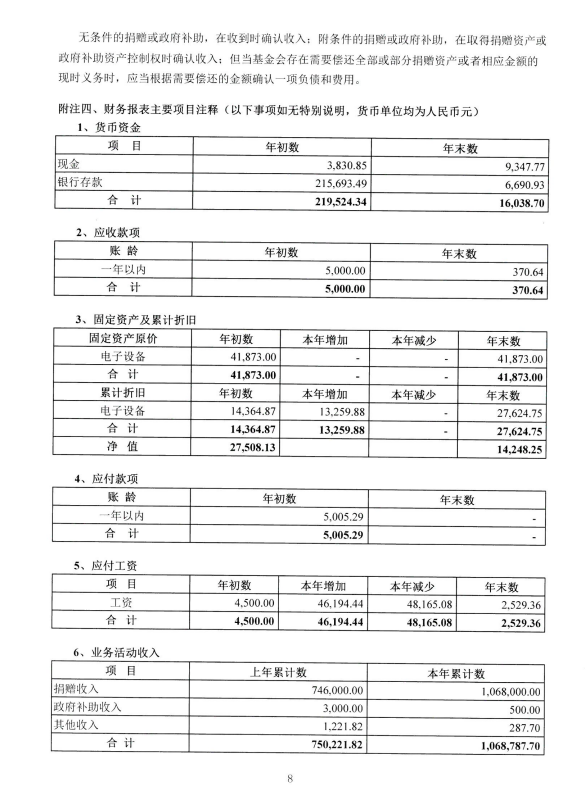 深圳市中润大平慈善基金会2022年度审计报告(图9)