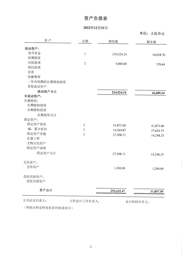 深圳市中润大平慈善基金会2022年度审计报告(图4)