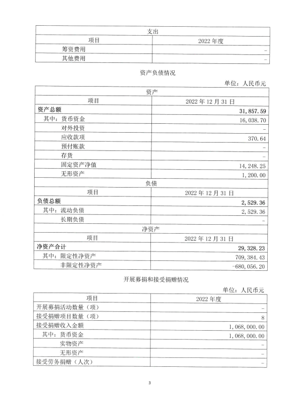 深圳市中润大平慈善基金会2022年专项审计(图4)